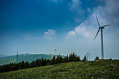 CDPR对Xbox被裁员工表示同情：来我这参与《巫师4》开发工作