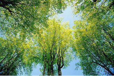 《守望先锋2》推出源氏与一拳超人联动皮肤